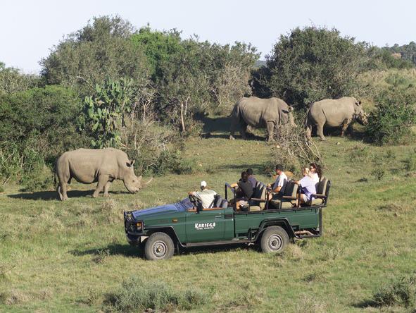 Kariega River Lodge - Activities 